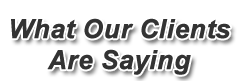 what our clients are saying